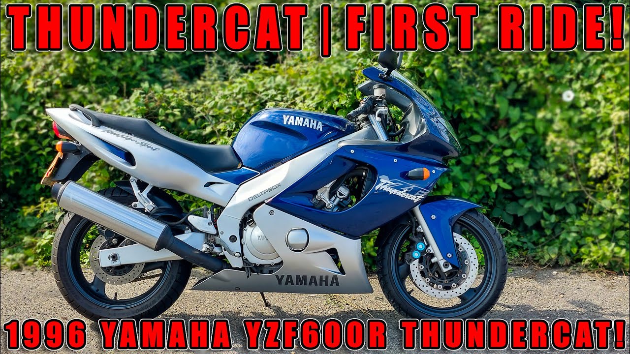 What replaced the Yamaha Thundercat? Tipseri