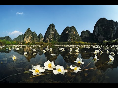 Азия.  Сергей Чекалин. Asia. Sergey Chekalin.