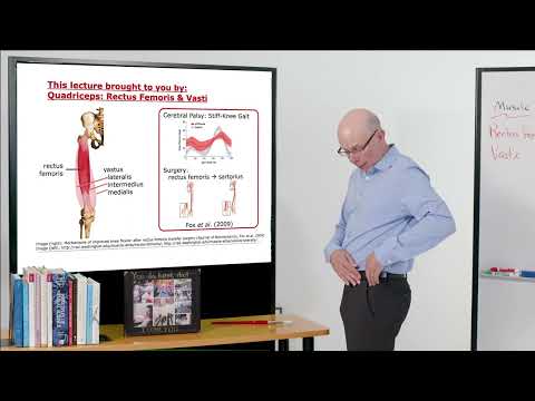 Biomechanics of Movement | Muscle of the Day: Quads