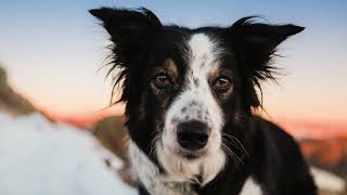 Idgie fourteenth birthday