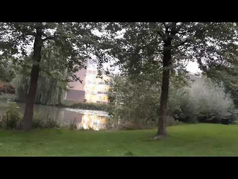 Deadly Guns ft. F-Noize - Unbelievers