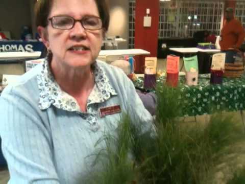 Belleville IL Basement Dry 15 Years