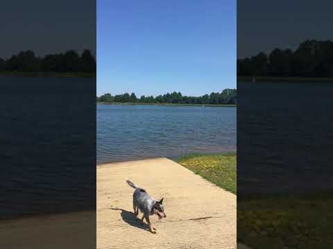 The larger fishing lake at the boat ramp. There are rental jonboats too.