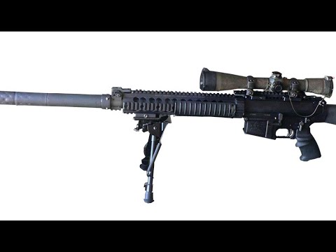 Call of Duty Modern Warfare 2019 Weapon Conversions/Ideas #11: SR-25