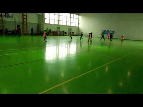 Dribli vs. Seeds 2020 highlights