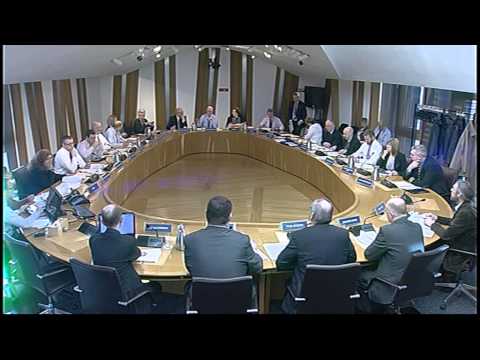 Devolution (Further Powers) Committee - Scottish Parliament: 19th February 2015