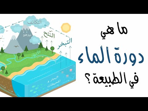 ما هي دورة الماء في الطبيعة ؟