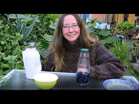 Schlehenlikör schon im Sommer machen? So geht's ganz einfach.