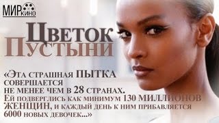 Топ 5 Шикарные Фильмы про Женщин и Женскую Красоту, которые стоит