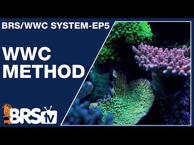 the wwc method to