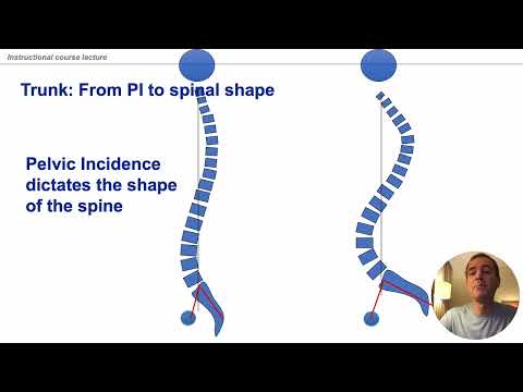 How to assess cervical deformity and balance from C2 to pelvis