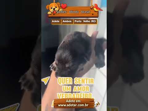 Vídeo de jarbes olinda brasil