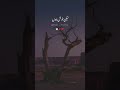 Deep Line Whatsapp Status Alone Status Urdu Shayari Dani Poetry Shorts Viral Poetry