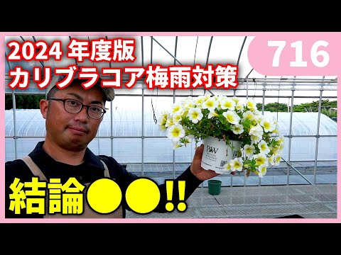 豪華なプールの建築計画のスケッチ