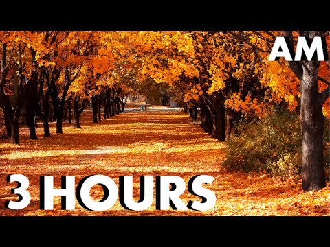 Cozy Autumn Park Ambience - Calming Birdsong and Relaxing Winds Sounds (3 Hours)