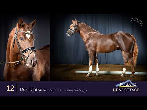 Ponyforum Hengsttage Nr. 12 DON DIABONO * 2018 v. Del Piero II