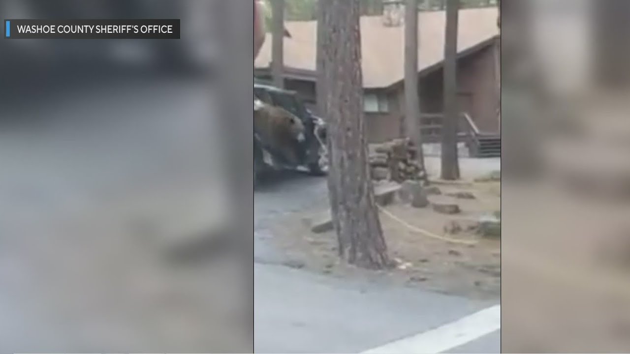 YouTube video preview