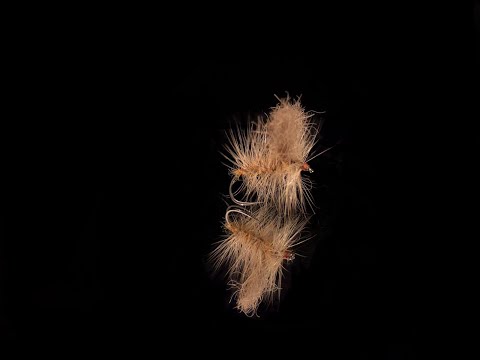 Handsome Puh I Winnie the Pooh (Nalle Puh) -Variation I Adult Caddis Dry Fly I TUTORIAL