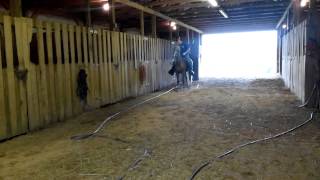 Girlfriend (8-14-14)