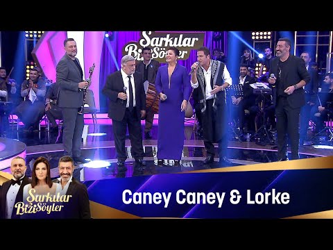 CANEY CANEY & LORKE