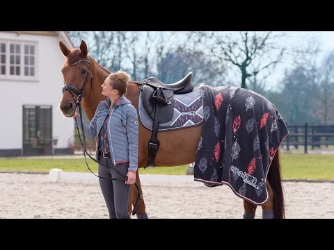 Eskadron Next Generation spring/summer 2017