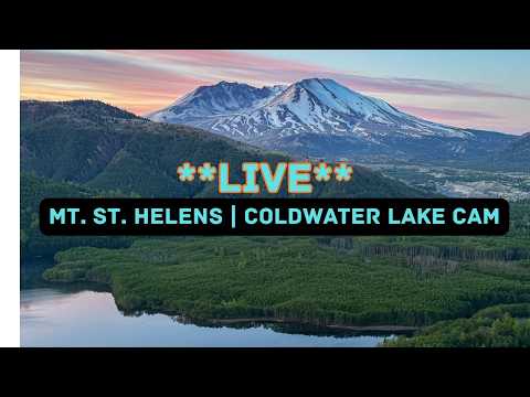 Live webcam view of Coldwater Lake & Mount St. Helens Cam