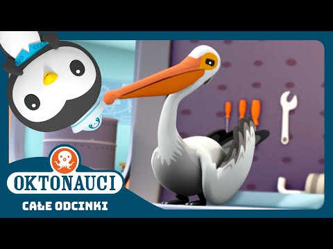 Oktonauci - 🐦 Pelikany i morski wyścig 🌊 | Cały odcinek 6 | Seria 3