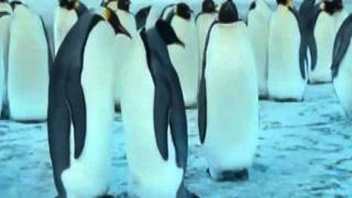 Phil Collins ~ On my way