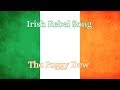 Irish Rebel Song- The Foggy Dew