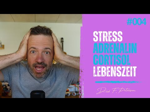 004-Stress, Cortisol, Adrenalin und die Lebenszeit