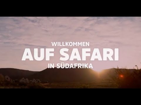 Starte deine Wildlife-Safari - Willkommen in Südafrika