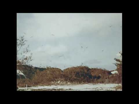 Evan West- something new