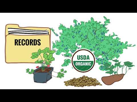 Organic Sound and Sensible Project   What is an Organic Systems Plan