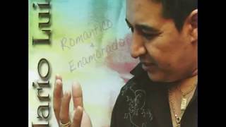 Te Olvidaré Lyrics English Translation