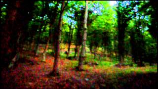 Pyrrhura - Hidden Road (Official Music Video)