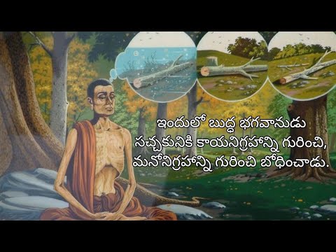 1. మహాసచ్చక సుత్త ll Maha-Saccaka Sutta: The Longer Discourse to Saccaka ll MN - 36