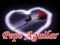 Pepe Aguilar - El Amar Y El Querer