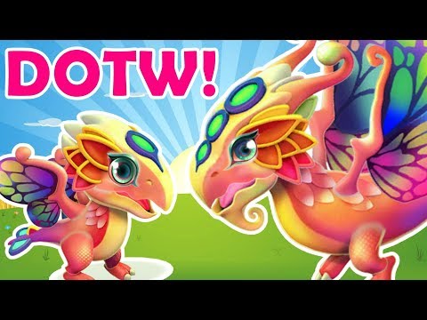 *OMG* BUTTERFLY DRAGON Next DOTW! Breeding Combination REVEALED! - DML #878