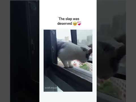 The slap was deserved ❤️‍🩹🥹