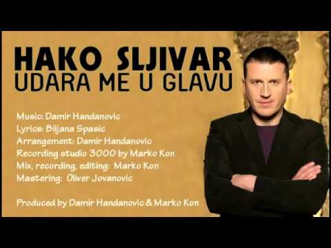 Hako Sljivar -  Udara me u glavu  (2012)