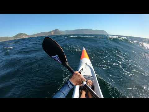 Millers #31   #4 in S Fish