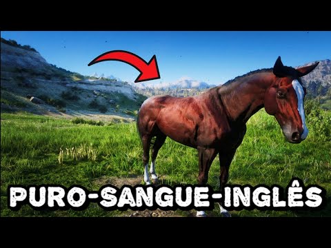 Localização do Puro-Sangue-Inglês ( Baio Rubro ) #reddeadredemtion2 #rdr2 #reddeadredemption