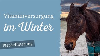 Pferdefütterung Grundlagen - Vitaminversorgung im Winter - Kräuter für Pferde im Winter