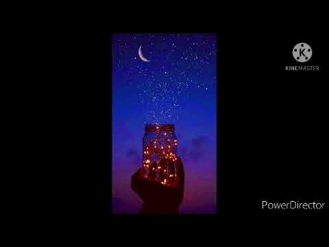 Stranger things - outside the realm (slow motion /version)