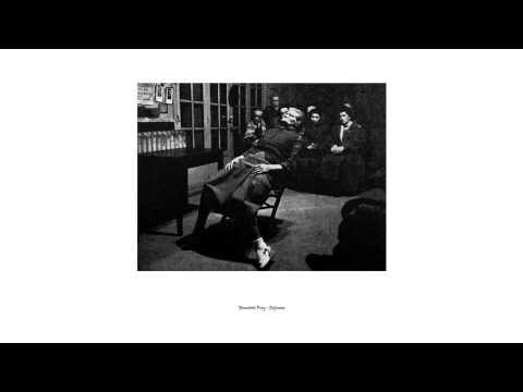 Benedikt Frey - SH Birds