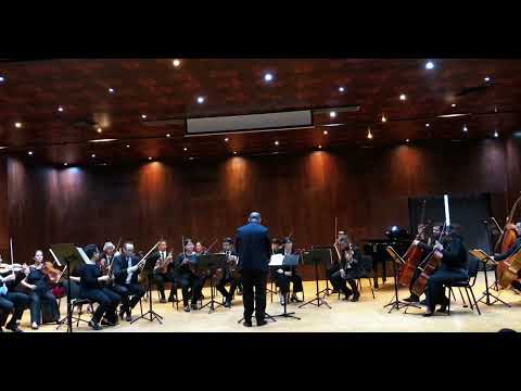 Merequetengue - Alejandra Roa Doyle