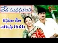 Letha Manasulu Movie Songs Kanula Kela Erupu Rangu Video Song Srikanth Gopika