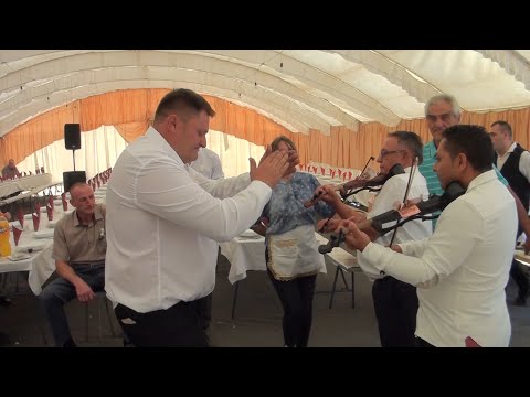 🎻 KOLO DVE VIOLINE 🎻  ORKESTAR ACE PIROMANCA ( VESELJE PORODICE TIMOTIC IZ TULARA )