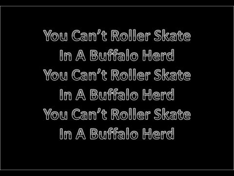 You Can't Roller Skate In A Buffalo Herd Lyrics