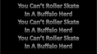 You Can&#39;t Roller Skate In A Buffalo Herd Lyrics